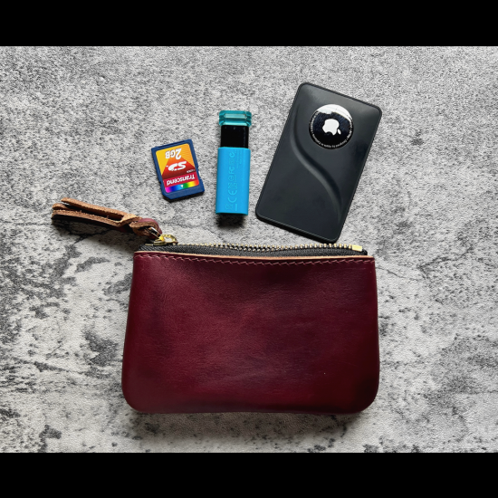 MP2L Horween leather Storage Case