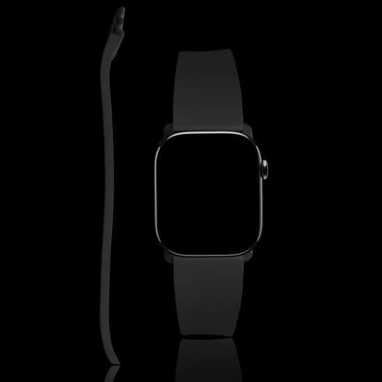 MinZ FKM mono Band ブラック（シルバー金具）