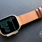 MinZ Horween Leather Band エイジングブラウンレザー（シルバー金具）