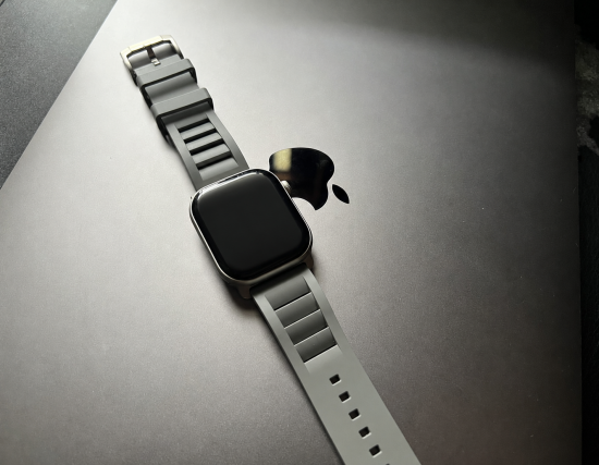 MinZ FKM mono Sport Band グレー（シルバー金具）49mm/46mm